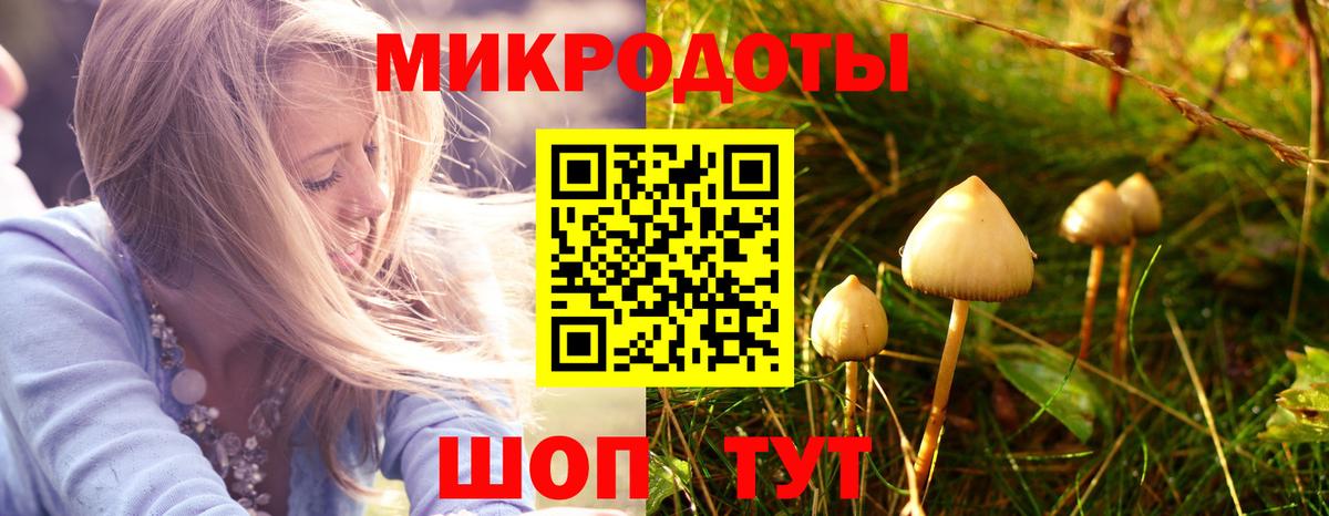 Галлюциногенные грибы Psilocybine cubensis  Вход с VPN  Краснодар 